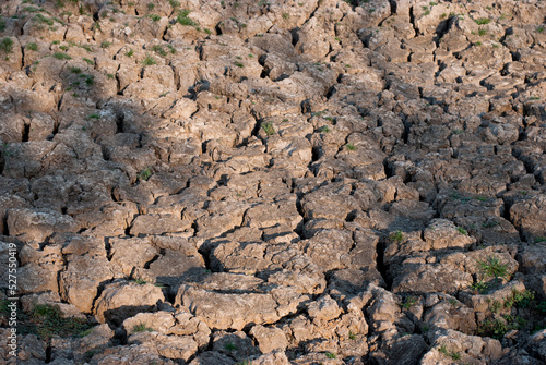 Dry soil conditions in the fields. © Sadhit