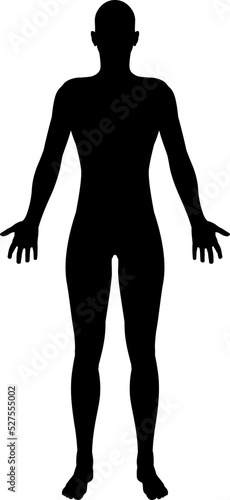 Stylised Unisex Human Figur...