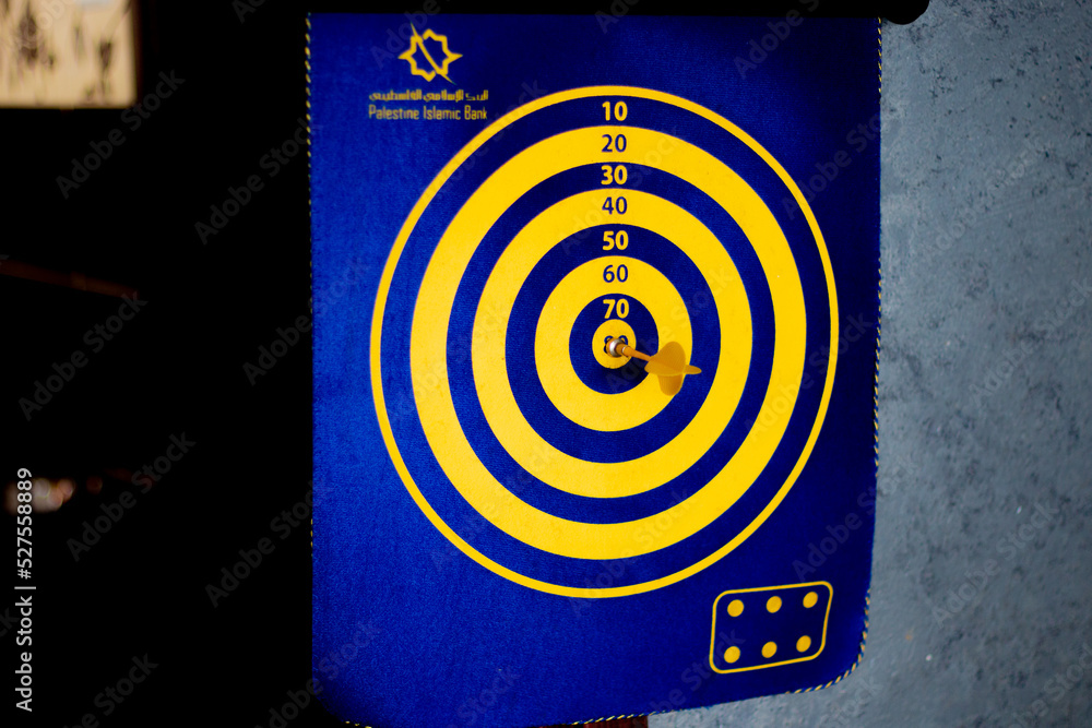 Multicolored circular dart board
