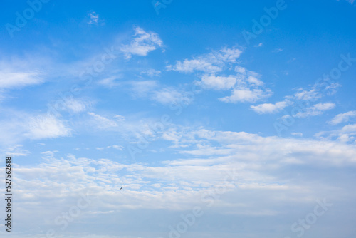 Fototapeta Naklejka Na Ścianę i Meble -  Blue sky and cirrus white high clouds. Horizontal.