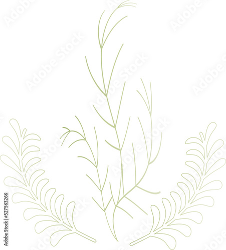 Fototapeta Naklejka Na Ścianę i Meble -  Flower leaf decoration wreath frame logo banner award art graphic design illustration png