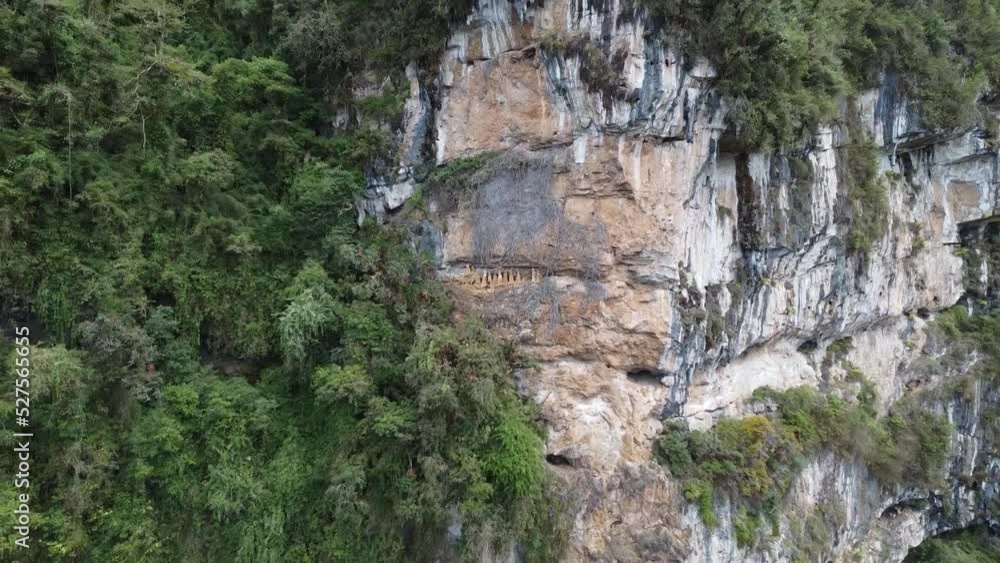 Pan out from Sarcophaghi on vertical cliff on Limestone hillside in Jungle surroundings Pan out from Sarcophaghi on vertical cliff on Limestone hillside in Jungle surroundings