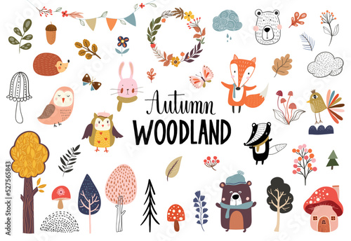 Autumn woodland collection with cute animals and seasonal vegetation, isolated on white