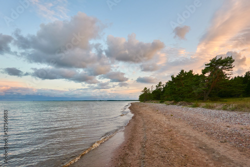 Baltic sea shore  beach  at sunset  panoramic view. Pebbles  trees. Soft sunlight  midnight sun. Saaremaa island  Estonia. Atmospheric summer landscape