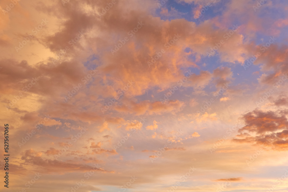 Clear blue sky. glowing pink and golden cirrus and cumulus clouds after storm, soft sunlight. Midnight sun. Dramatic sunset cloudscape. Meteorology, weather themes. Picturesque panoramic scenery
