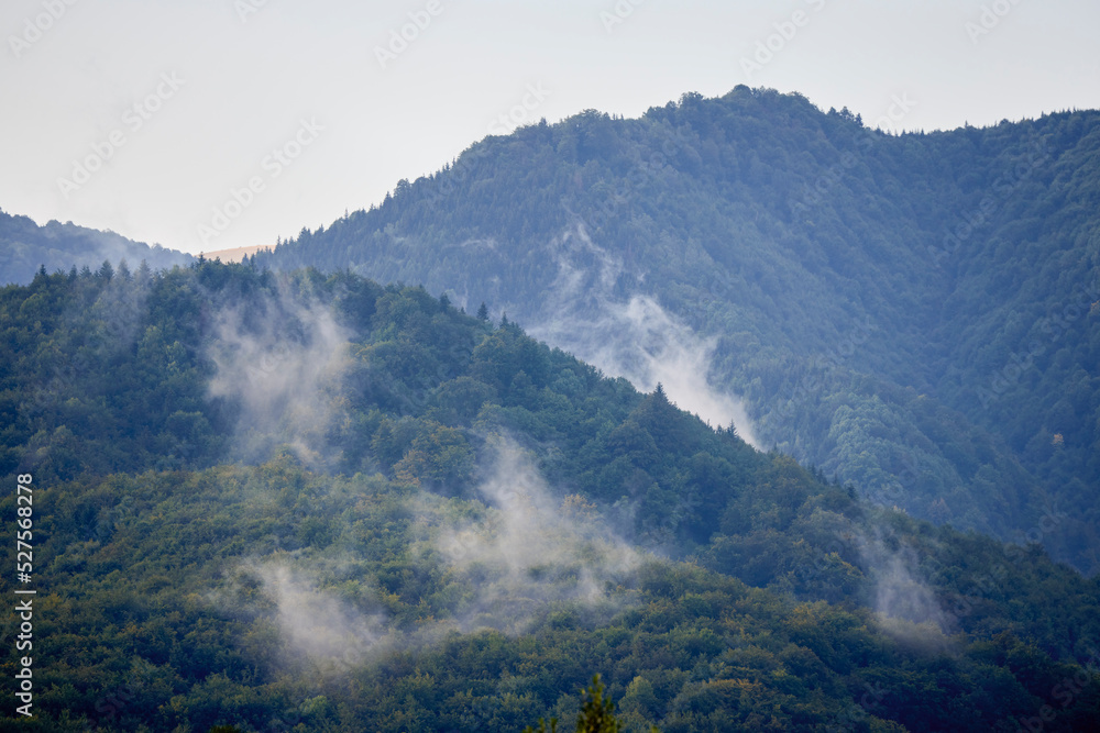 beautiful mountain landscape with green forest in the Carpathian Mountains beautiful mountain landscape with green forest in the Carpathian Mountains