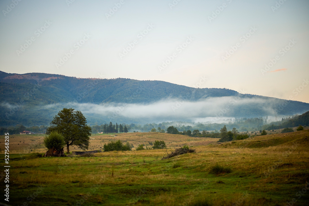 Fototapeta premium beautiful mountain landscape with green forest in the Carpathian Mountains