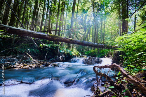 a mountain river through the forest photographed with long exposure time photo