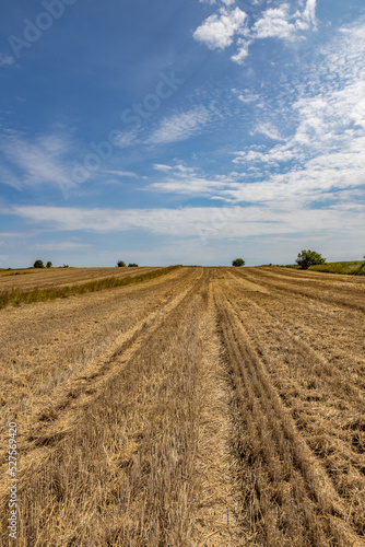 Extensive golden stubble fields after the harvest on a sunny day, with straw bales ready for collection, with a beautiful blue sky, ounty podkarpackie , Poland
