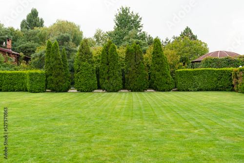 green mowed lawn in a large garden or in a park. plant care in parks. 