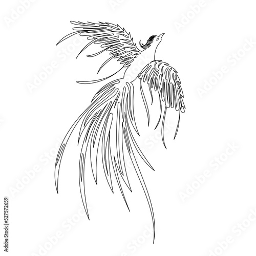phoenix bird sketch on white background