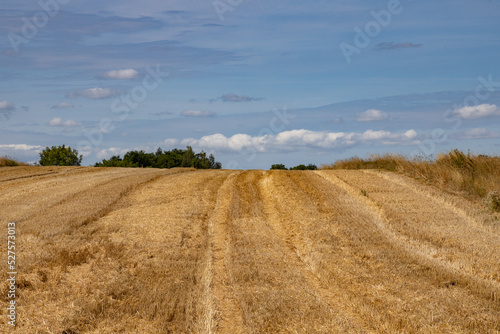 Extensive golden stubble fields after the harvest on a sunny day, with straw bales ready for collection, with a beautiful blue sky, ounty podkarpackie , Poland