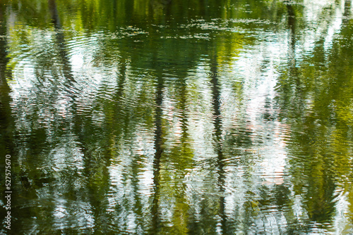 circles on the water in the artificial pond background