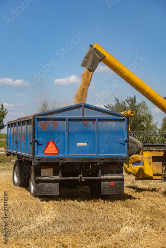 Harvest in Poland, a combine harvester during the harvest season while working on a sunny day, Rozborz, county Podkarpackie, Poland, 7th of August, 2022