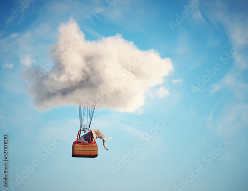 Vászonkép Elephant flying with hot air balloon .