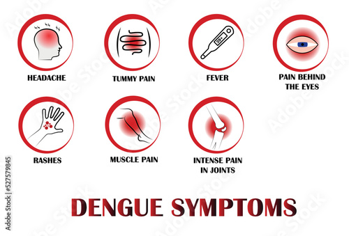 Dengue symptoms, Pictograms with names of individual symptoms