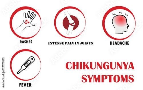 Chikungunya symptoms, Pictograms with names of individual symptoms