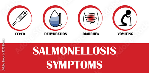 Salmonella symptoms, Pictograms with names of individual symptoms