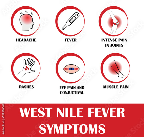 West Nile fever, Pictograms with names of individual symptoms