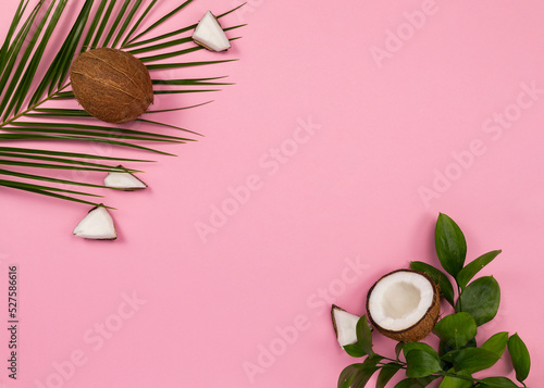 coconut and leaves on pink background