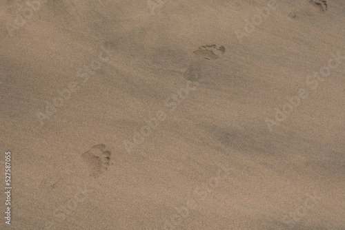 Gold desert Sand texture on the beach