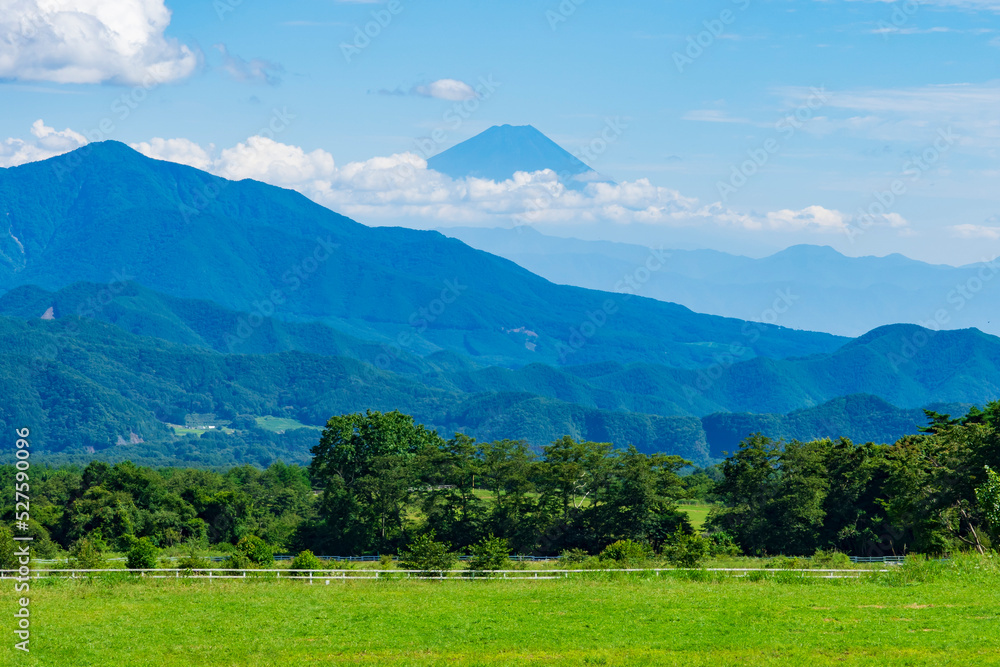 【山梨県】清里高原の牧場風景と富士山