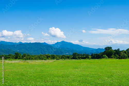 【山梨県】清里高原の牧場風景と富士山