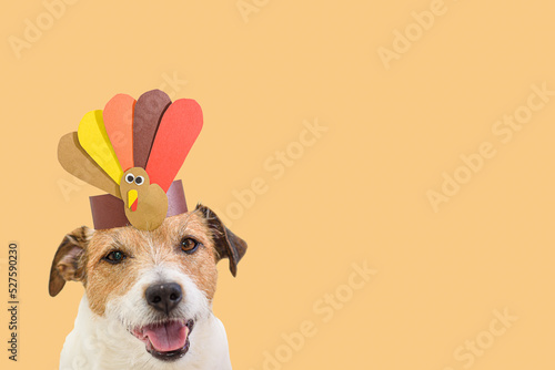 Tela Dog wearing self-made paper party hat with Thanksgiving turkey