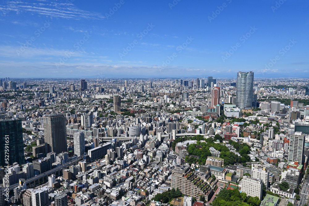 夏の朝に東京タワートップデッキから西方面を望む