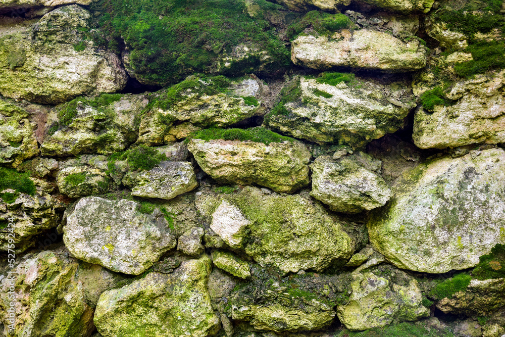 Texture of old stone wall overgrown with green moss. Copy Space. Selective focus.