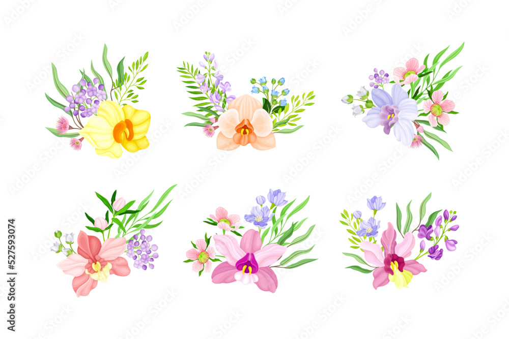 Fragrant Orchid Blooms with Labellum Arranged with Floral Branches Vector Set Fragrant Orchid Blooms with Labellum Arranged with Floral Branches Vector Set