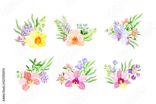 Fragrant Orchid Blooms with Labellum Arranged with Floral Branches Vector Set