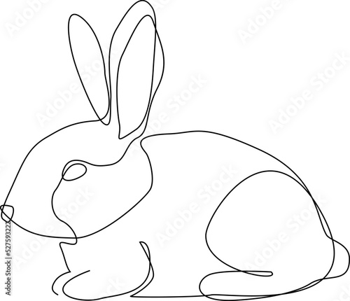 Line Drawing rabbit  one line