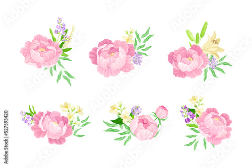 Fototapeta Naklejka Na Ścianę i Meble -  Floral Bouquet of Peonies and Garden Flowers Vector Set