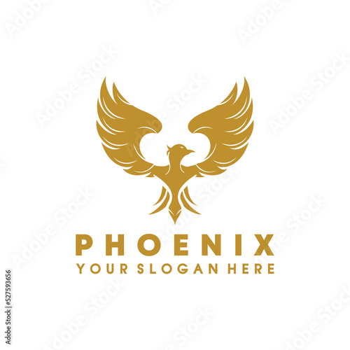 Phoenix logo vector template