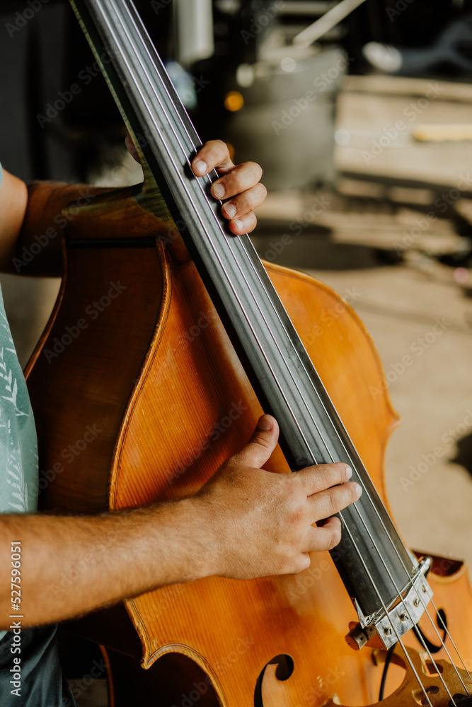 Close up musician playing double bass Close up musician playing double bass