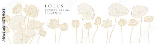 Set of luxury lotus vector element. Collection of botanical with lotus flowers, leaves, blooms, floral, blossom in gold hand drawn pattern. Elegant oriental flowers for decorative, prints, logo.