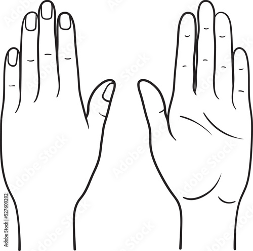 Human hand back and palm view vector illustration, male female anatomy line art