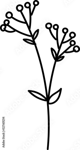 Hand drawn branches with leaves and flowers icon © 4zevar