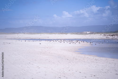 sea landscape in a beach of Galicia  Spain