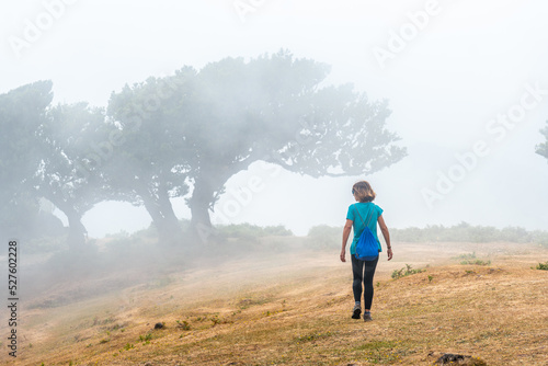 Fanal forest with fog in Madeira, young tourist in laurel trees walking, mysterious. Portugal