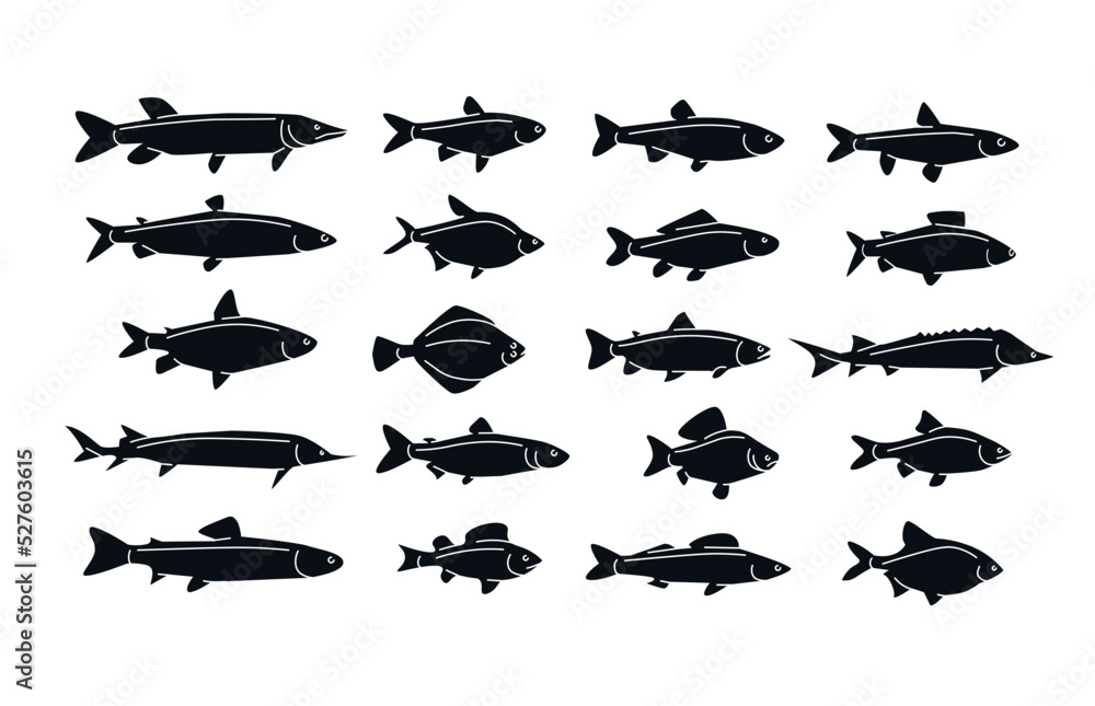 Fish symbol silhouettes. Fishes black vector icons . Fishing concept symbols collection.Animals isolated .