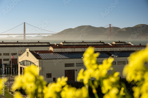Flowers and Fort Mason Warehouses With The Golden Gate Bridge photo