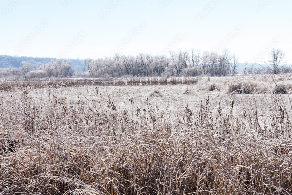 field covered with frost and ice field covered with frost and ice