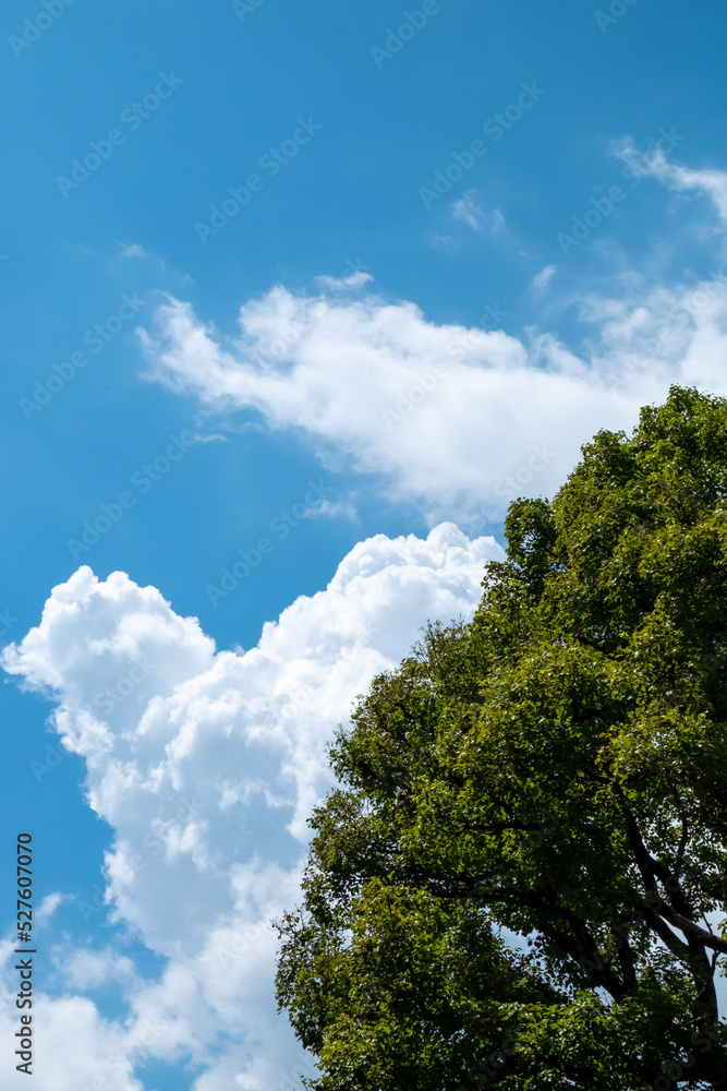 夏空