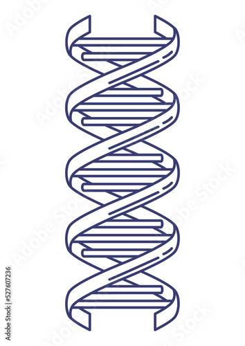 Illustration of dna model. Medical and scientific item.