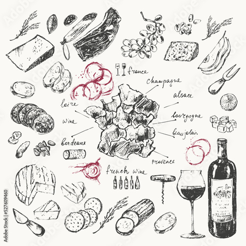 Hand drawn wine illustration set.