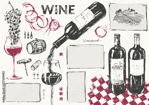 Hand drawn wine illustration set.