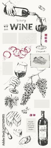 Hand drawn wine illustration background