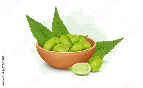 A wooden bowl full with Medicinal neem leaves and fruit vector illustration